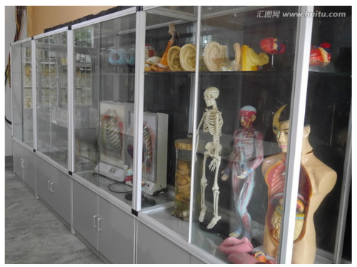 科普展覽仿真模型 科普展覽仿真模型